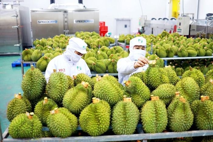 Durian exports likely to reach US$1 billion this year